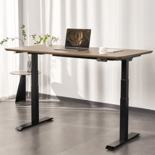 FlexiSpot E7 - Dual Motor Premium Standing Desk With Black Frame